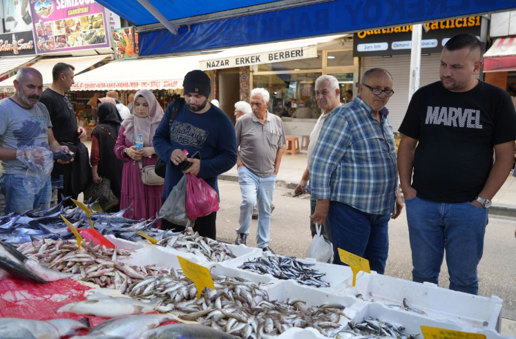 Samsun'da Palamut Rusya’ya Gitti, Fiyatlar 50 TL’den 120 TL’ye Fırladı