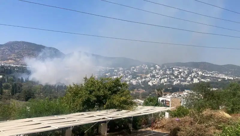 Muğla Orman Yangınları Son Buluyor: Kontrol Altına Alındı