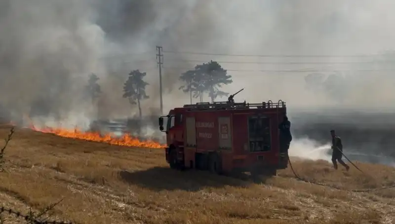 Kırklareli'nde Anız Yangını: Tarım Alanları Tehlikede!