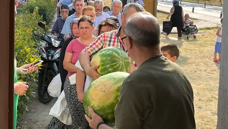 Tarlada Kalifiyeli Ürünler: Hasat Başladı, Bedava Kooparatife Dağıtıldı