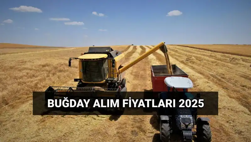 Hububat Alım Ücretleri Ne Zaman Yatacak? 2025 Fiyatları Açıklanıyor