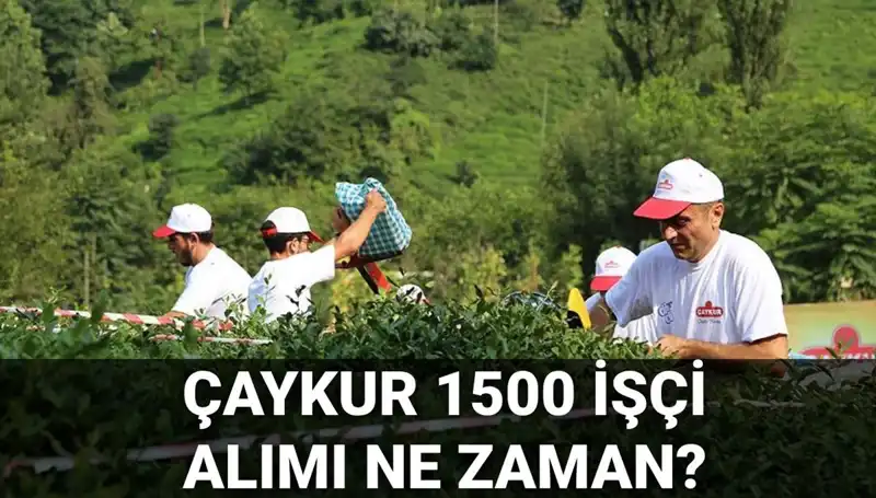ÇAYKUR İşçi Alımı Kura Çekimi: Tarihler ve Süreç Hakkında Bilmeniz Gerekenler