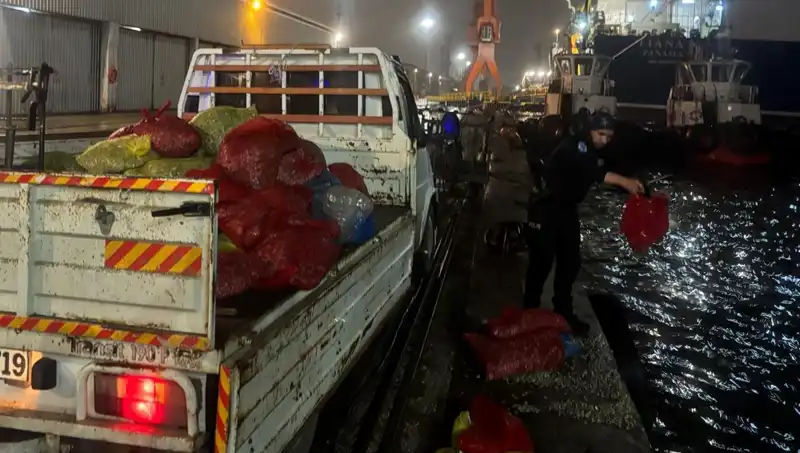 Kaçak Midye Operasyonu: Sıfır Tolerans İle Mücadele!