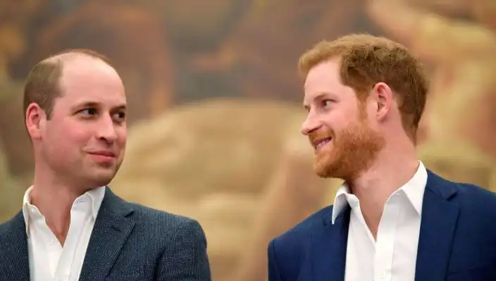 Prens Harry ve Prens William'ın Küslüğü: Monarşinin Geleceği Tehlikede mi?
