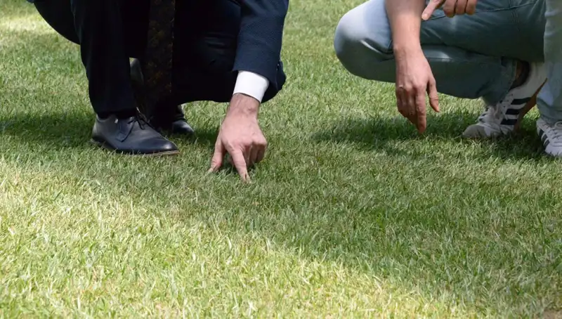Stadion Zemini Tartışmaları Sonuçlanıyor: 10 Gün İçinde Hazır Olacak