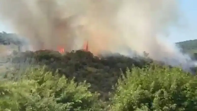 İstanbul Orman Yangınında Son Durum: Tahliye Süreci ve Etkileri
