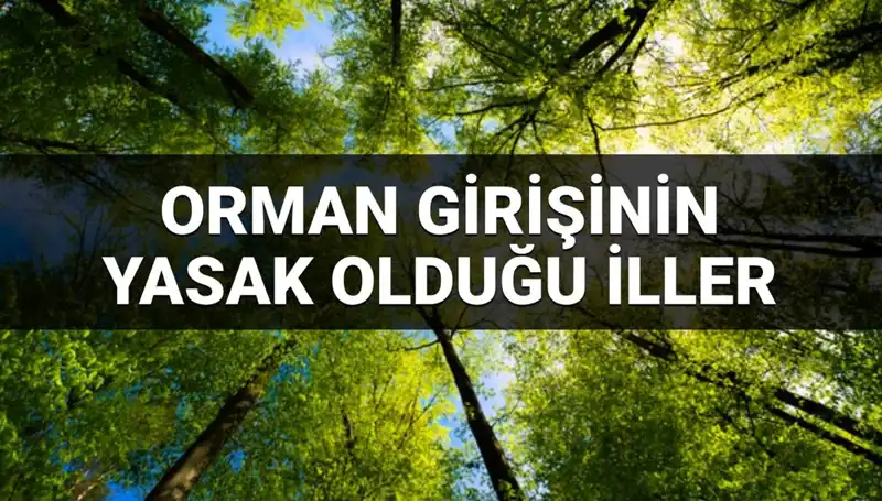 Türkiye'de Ormana Girişin Yasaklandığı İller: 2025'te Hangi Bölgeler Kapsama Alınıyor?
