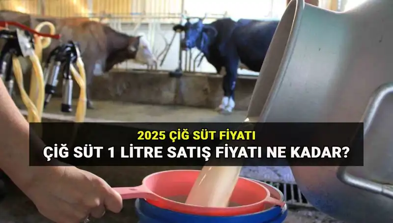 2025’te Çiğ Süt Fiyatları: Ulusal Süt Konseyi'nin Açıklamaları