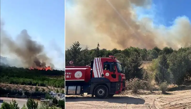 Gebze'de Orman Yangını Korkuttu: Ekipler Seferber Oldu
