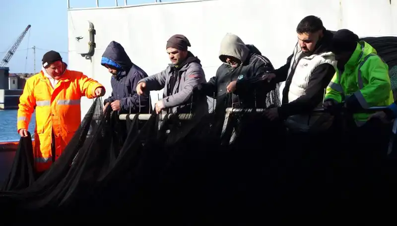 Denizlerde Hamsi Avı Sonunda Noktalandı: Tekneler Erken Dönüş Yaptı