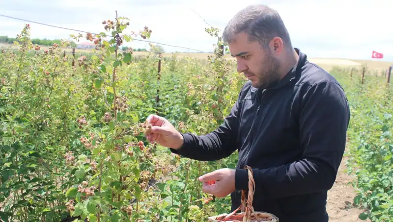 Hobi Olarak Başladı, Şimdi Talebe Yetişemeyen Bir İş Kurdu