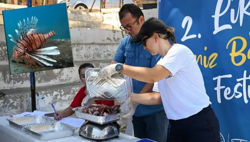 Antalya'da İstilacı Aslan Balığı Avlama Yarışması: Eğlence ve Ekosistem Koruma Bir Arada