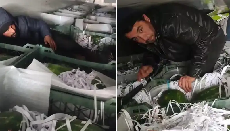 Karpuzların Arasından Çıkan Göçmenler: Sıradışı Bir Olayın Perde Arkası